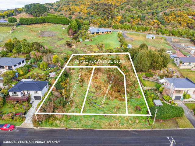 36 Pilcher Ave Bluff_4