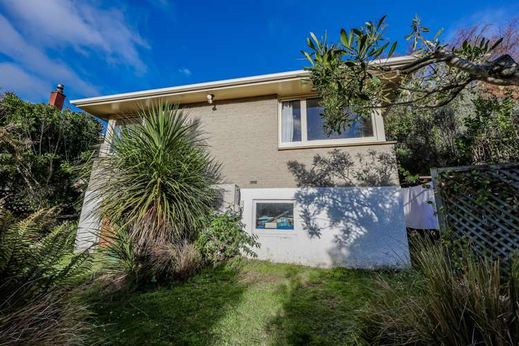 177 Evans Street Opoho_21