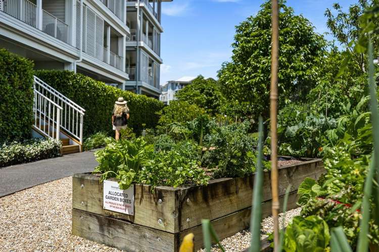 1 Ocean View Terrace Orewa_27