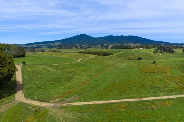 18 Hodgson Road Te Pahu_2