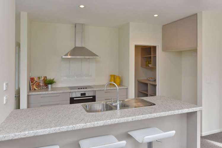 17 Pahua Street Pegasus_6