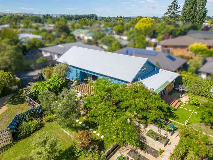 126b Colombo Road Masterton_19