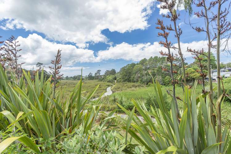 61b Holly Street Avondale_8