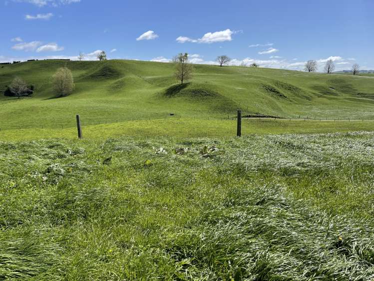 27 Mcrae Road Otorohanga_17