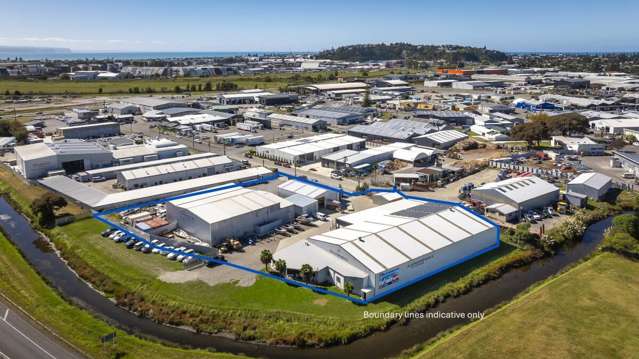 Dual Freehold Industrial Investment