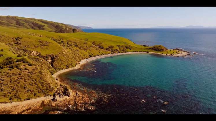 Pikarere Farm Porirua_11