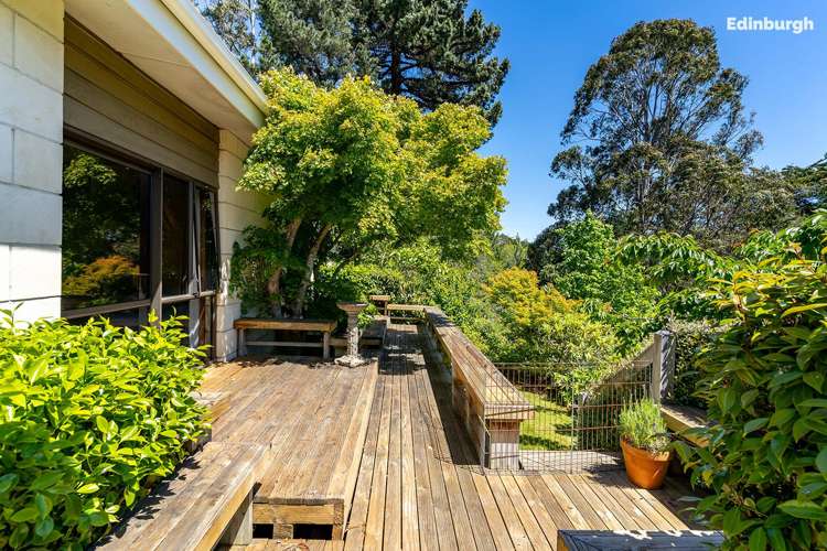 1 Leyden Terrace Andersons Bay_36