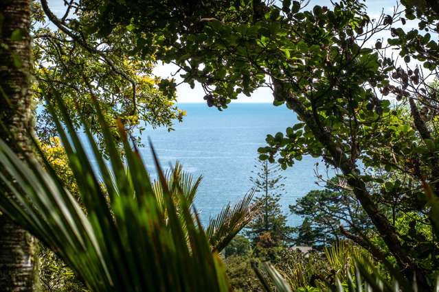 61 Trig Hill Road Onetangi_4