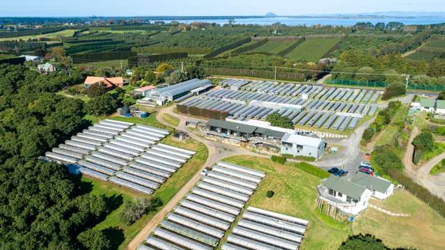 107 Ongare Point Road Katikati_4