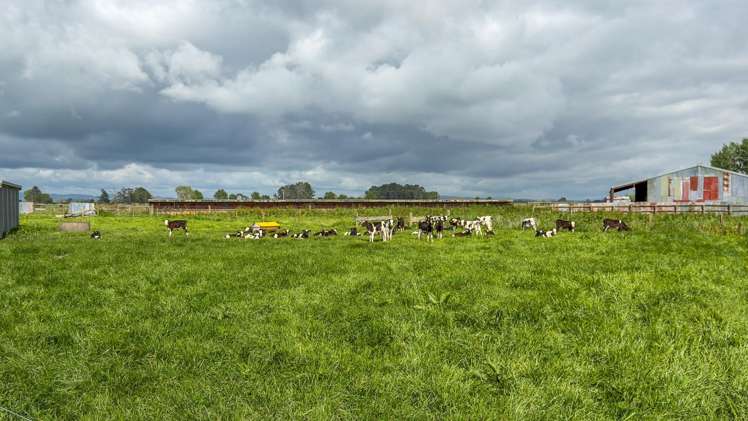 264 Matatoki Road Matatoki_17