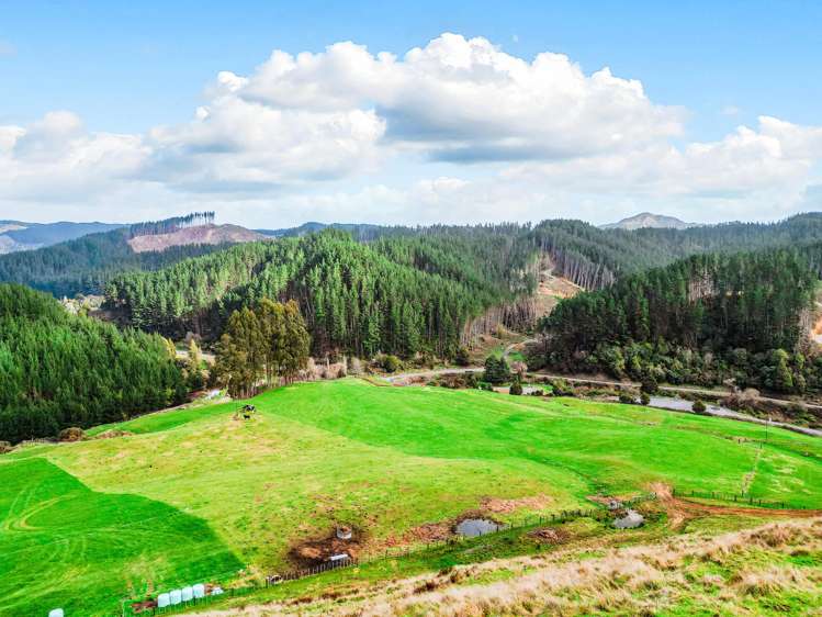 3789 State Highway 4 Ongarue_22