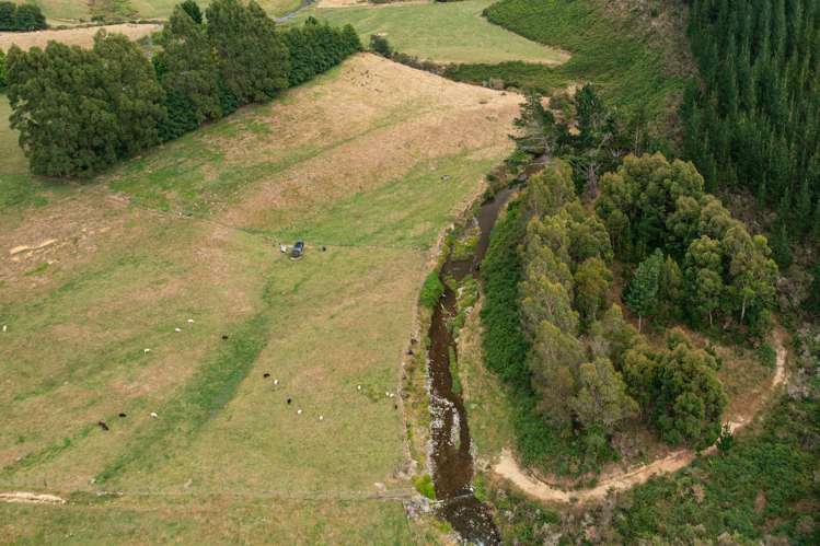 22 Hebberds Road Rai Valley_35