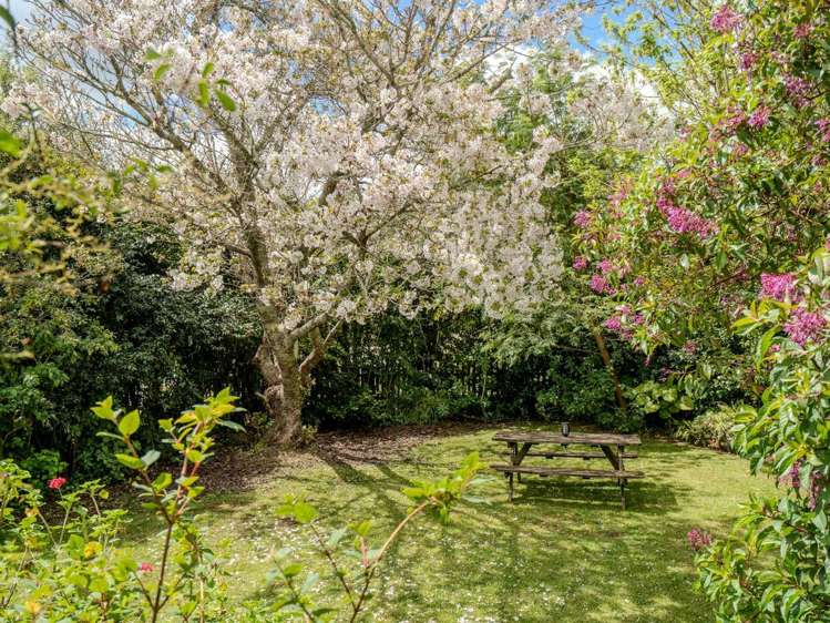 372 Te Ahu Ahu, Waimate North Kerikeri_33