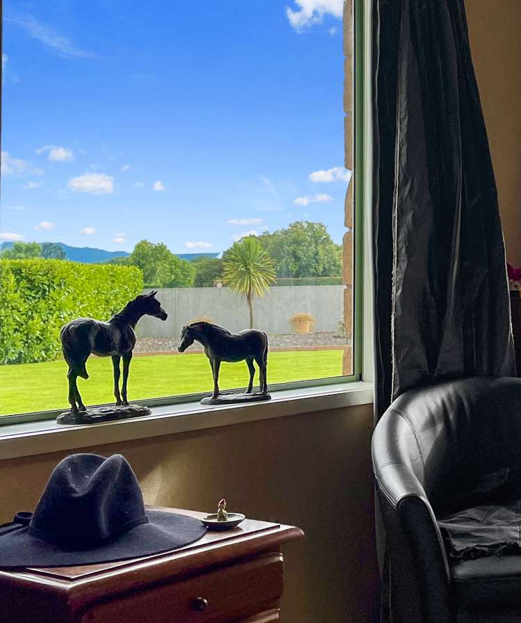 202e Tower Road Matamata_15