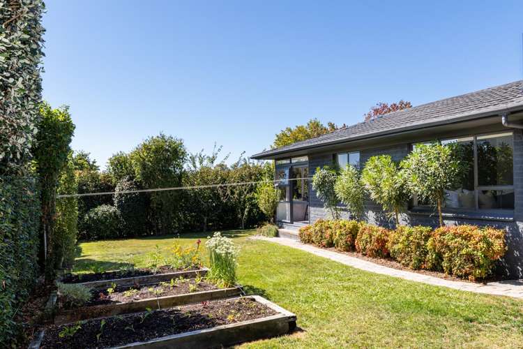 19 Chambers Street Havelock North_17