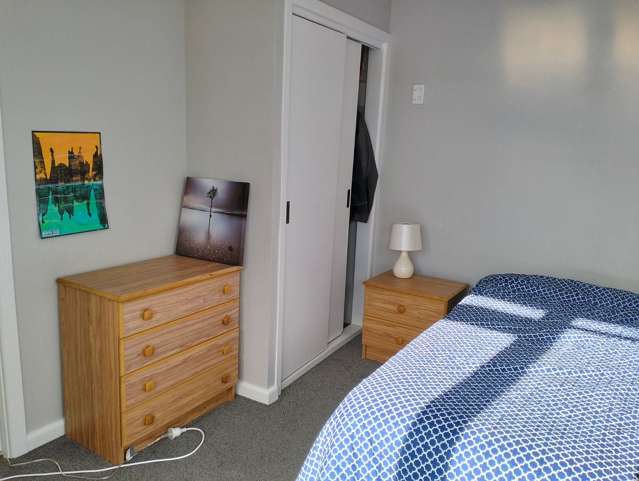 Renovated three bedroom house with fenced yard