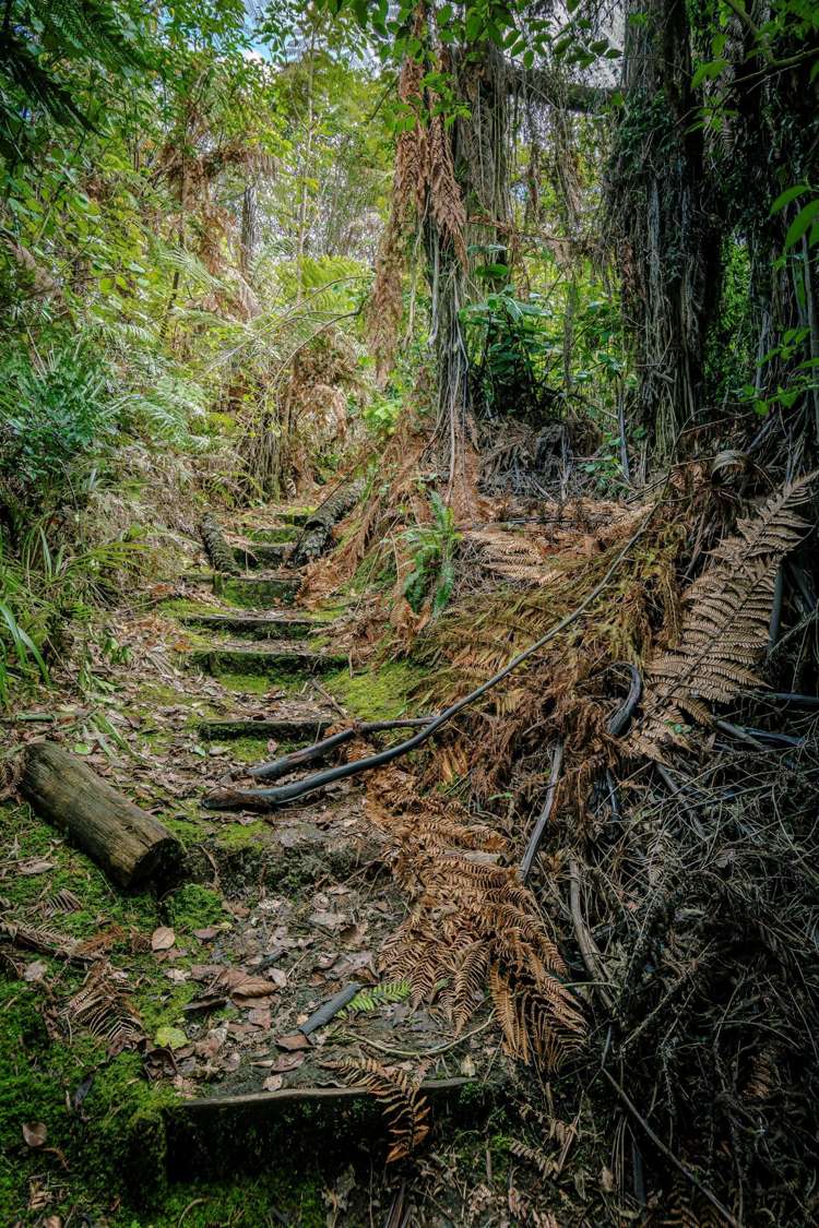 85 Spencer Road Lake Tarawera_32