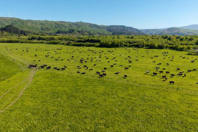 829 Ballance Valley Road Pahiatua_3