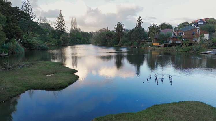 75A Ngapuhi Road Remuera_3