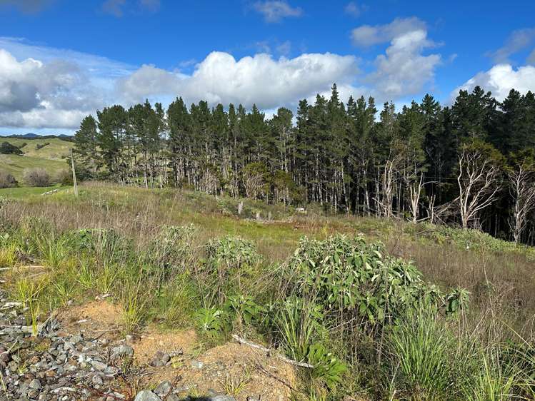 Waiotehue Road Herekino_1