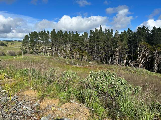 Waiotehue Road Herekino_1