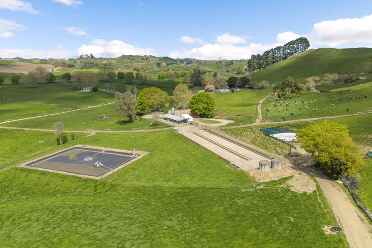 58 Nicholson Road Piarere_0