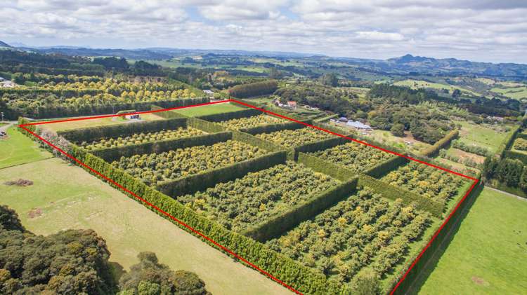 143 Norris Road Maungatapere_18