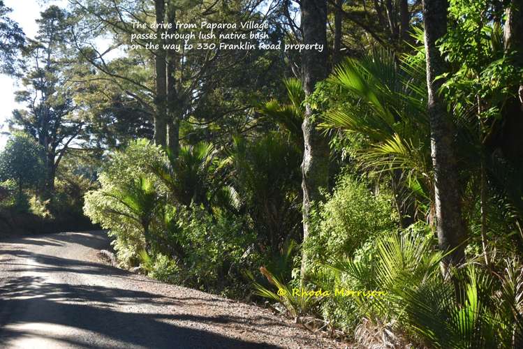 330 Franklin Road Paparoa_47