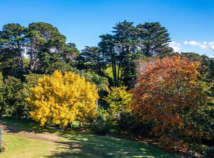 70 Dawson Road Snells Beach_8