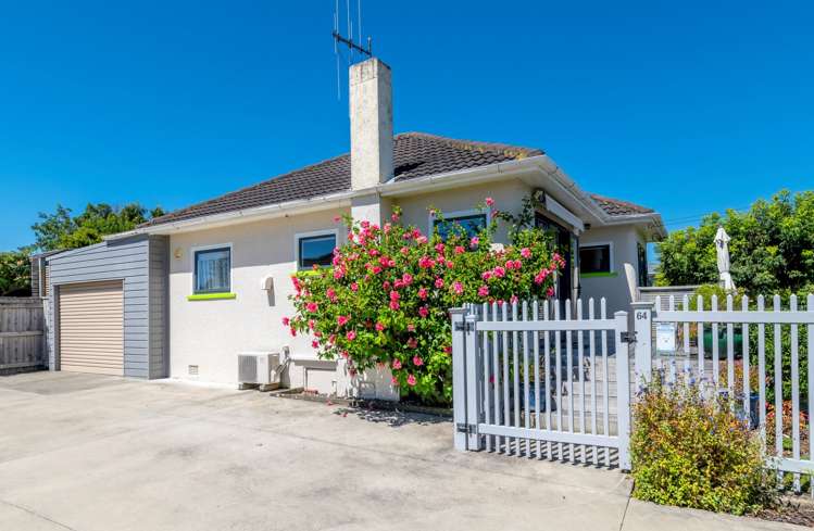 64a Parker Avenue Levin_12