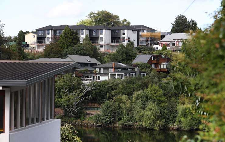 Houses in Wellington’s Lyall Bay