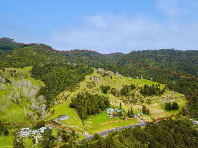 Live, farm and earn!