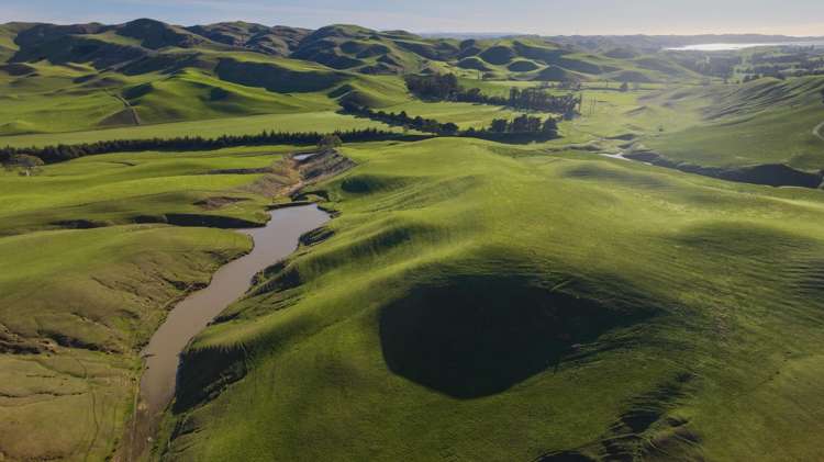 285 Grassmere Road Lake Grassmere_28