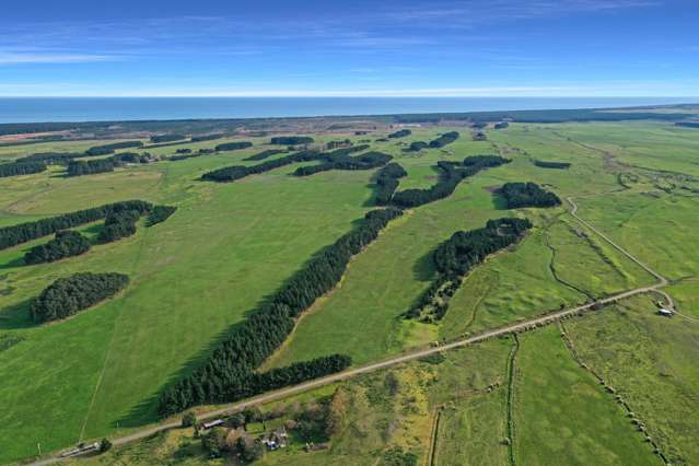 200 Beamish Road Bulls_1