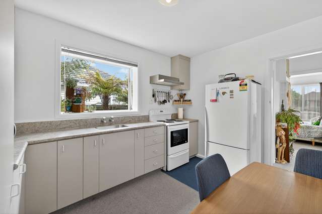 30 Tauiwi Crescent Hei Hei_4