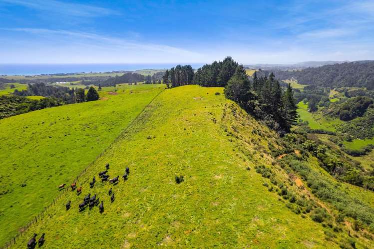 324 Okoki Road Urenui_18