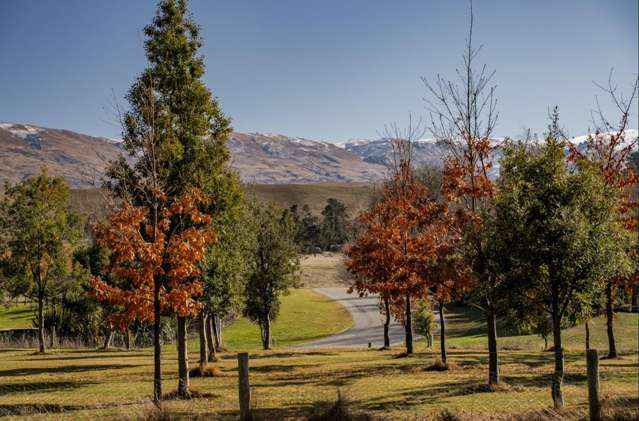 11 Thelma Place Cromwell_2