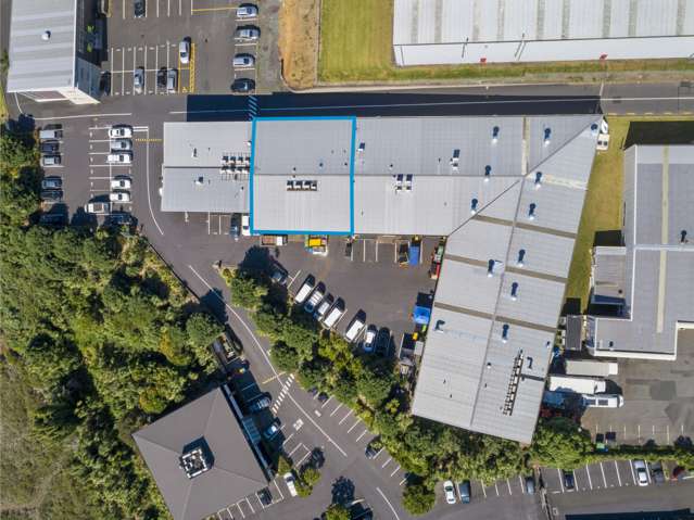 483B Rosebank Road Avondale_3