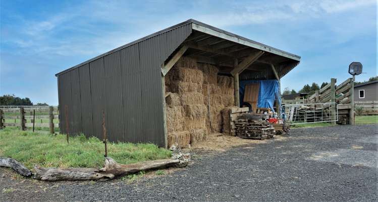 25 Ryland Park Levin_15