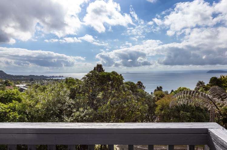 19 Kamahi Terrace Omori_10