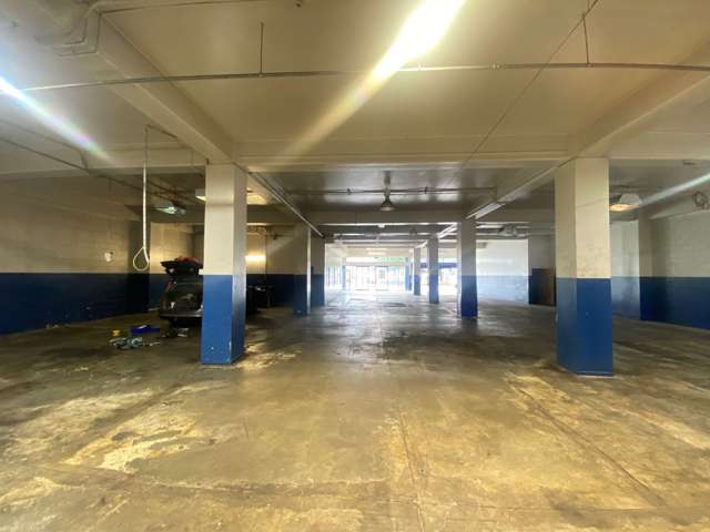 Ground/59 Kent Terrace Te Aro_4