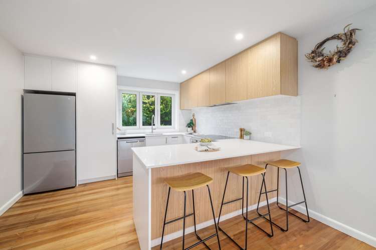 4 Beckenham Street Sydenham_1