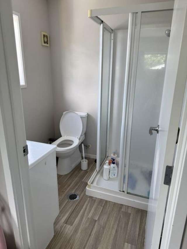 668A Grey Street Hamilton East_1