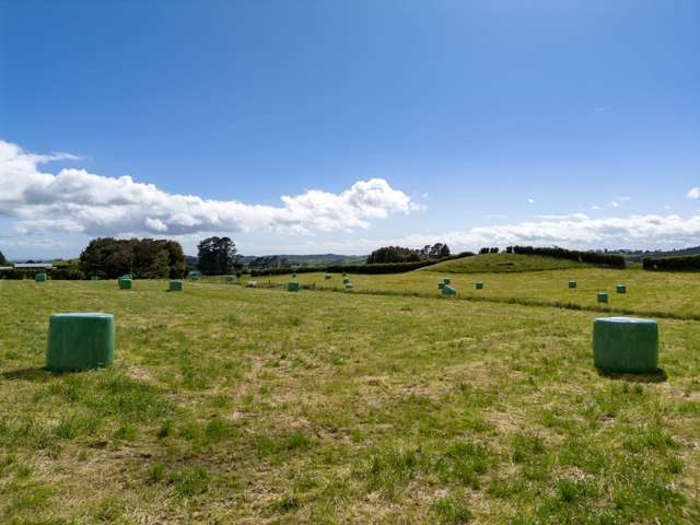 Lot 1 Mangorei Road Mangorei_4