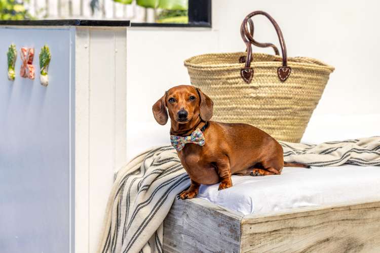 5 Manuka Road Oneroa_32