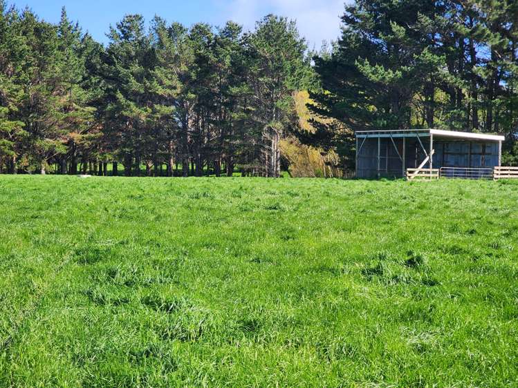 Ahipaipa Road Okaiawa_9