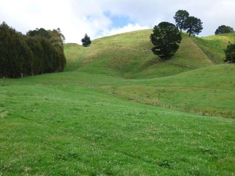 1370 Te Kopia Road Waikite Valley_12