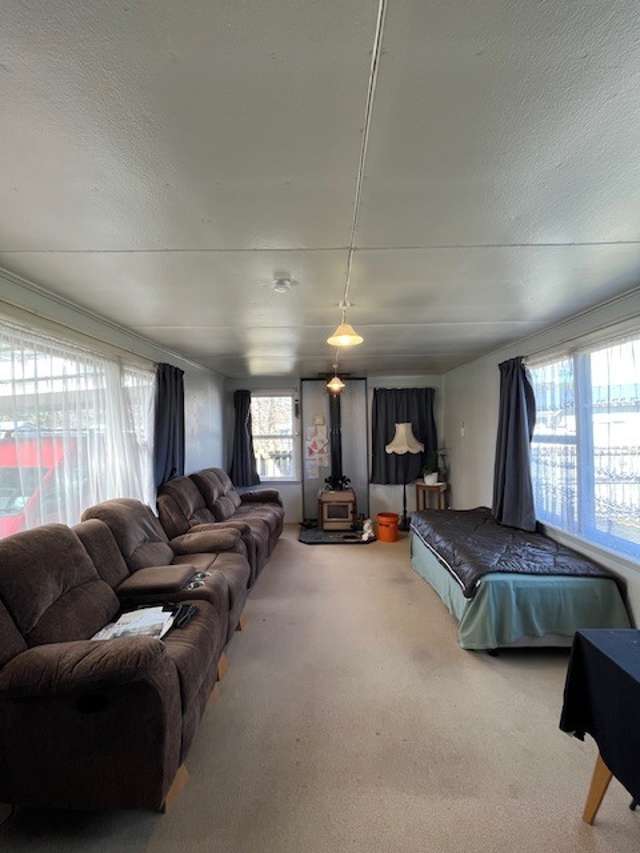 75 Buller Road 1863_1