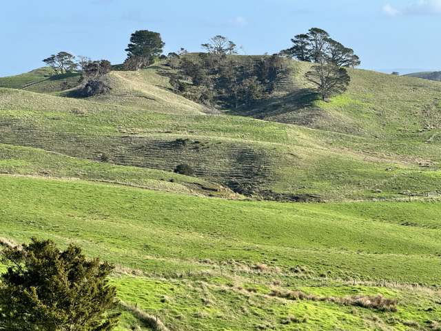 Hill Road Maungaturoto_1