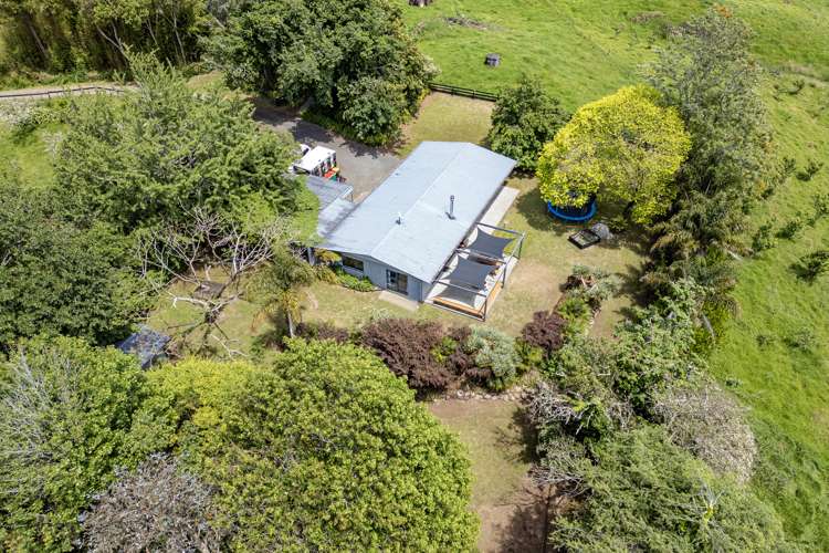 89 Purangi Road Purangi_24